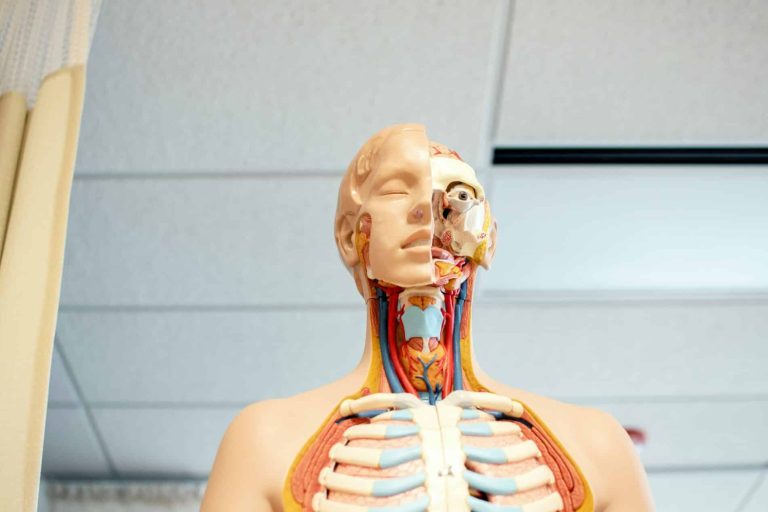 Quelles sont les meilleures banques d'accueil médicales ?